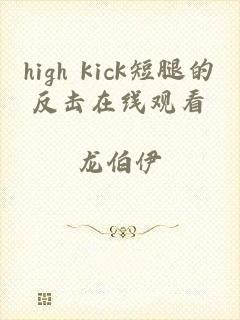 high kick短腿的反击在线观看